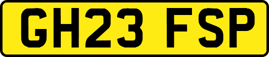 GH23FSP