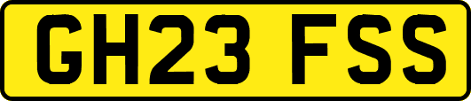 GH23FSS