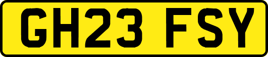 GH23FSY