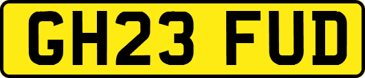 GH23FUD