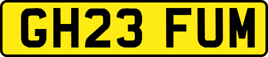 GH23FUM