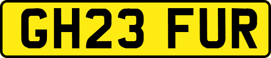 GH23FUR
