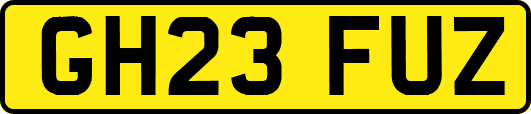 GH23FUZ