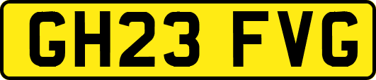 GH23FVG