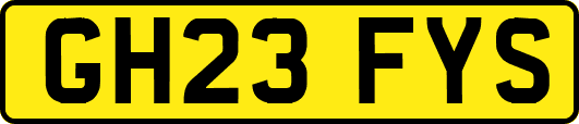 GH23FYS