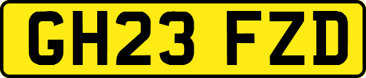 GH23FZD