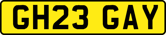 GH23GAY