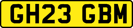 GH23GBM