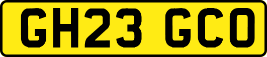 GH23GCO