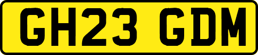 GH23GDM