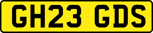 GH23GDS