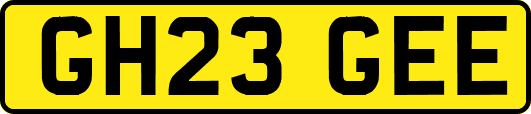 GH23GEE