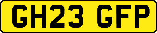 GH23GFP