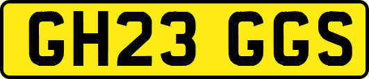 GH23GGS