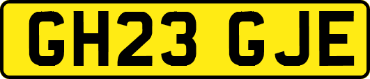 GH23GJE