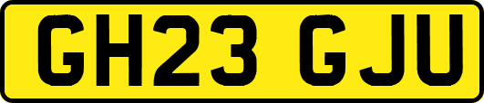 GH23GJU