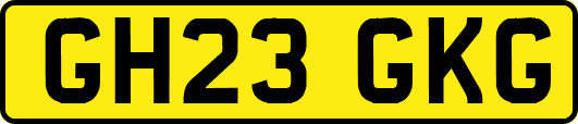 GH23GKG