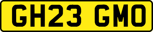 GH23GMO
