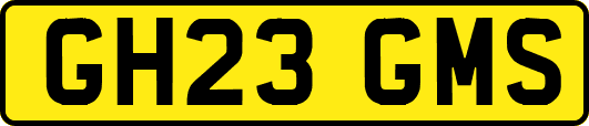 GH23GMS