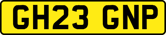GH23GNP