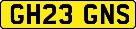 GH23GNS
