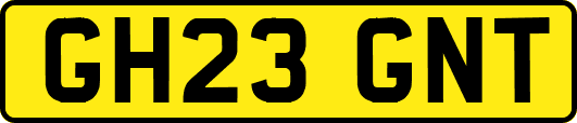 GH23GNT