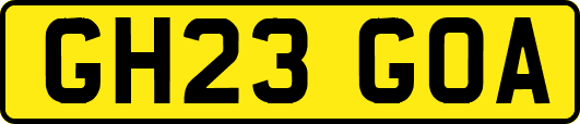GH23GOA