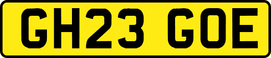 GH23GOE