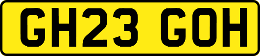GH23GOH