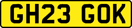 GH23GOK