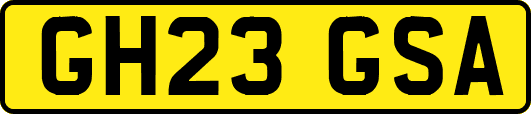 GH23GSA