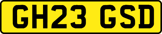 GH23GSD
