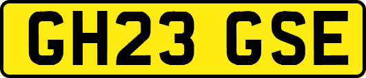 GH23GSE