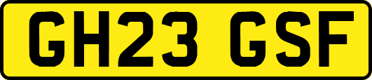 GH23GSF