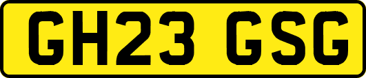 GH23GSG