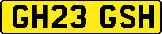 GH23GSH
