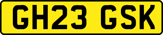 GH23GSK