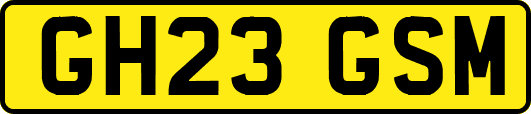 GH23GSM
