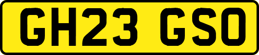 GH23GSO