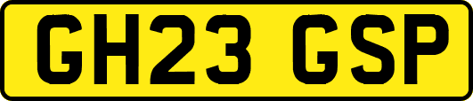 GH23GSP