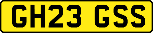 GH23GSS