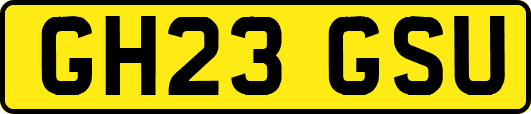 GH23GSU