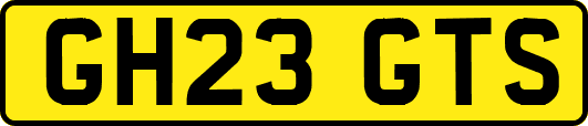 GH23GTS