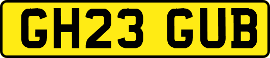 GH23GUB