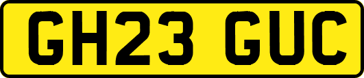 GH23GUC