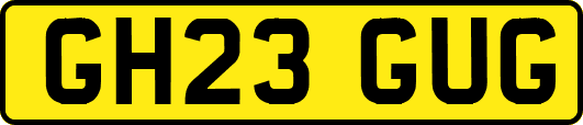 GH23GUG