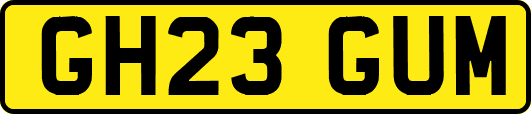 GH23GUM
