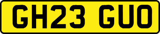GH23GUO