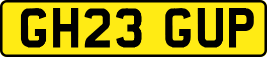 GH23GUP