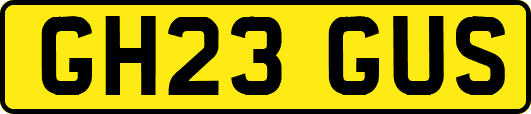 GH23GUS